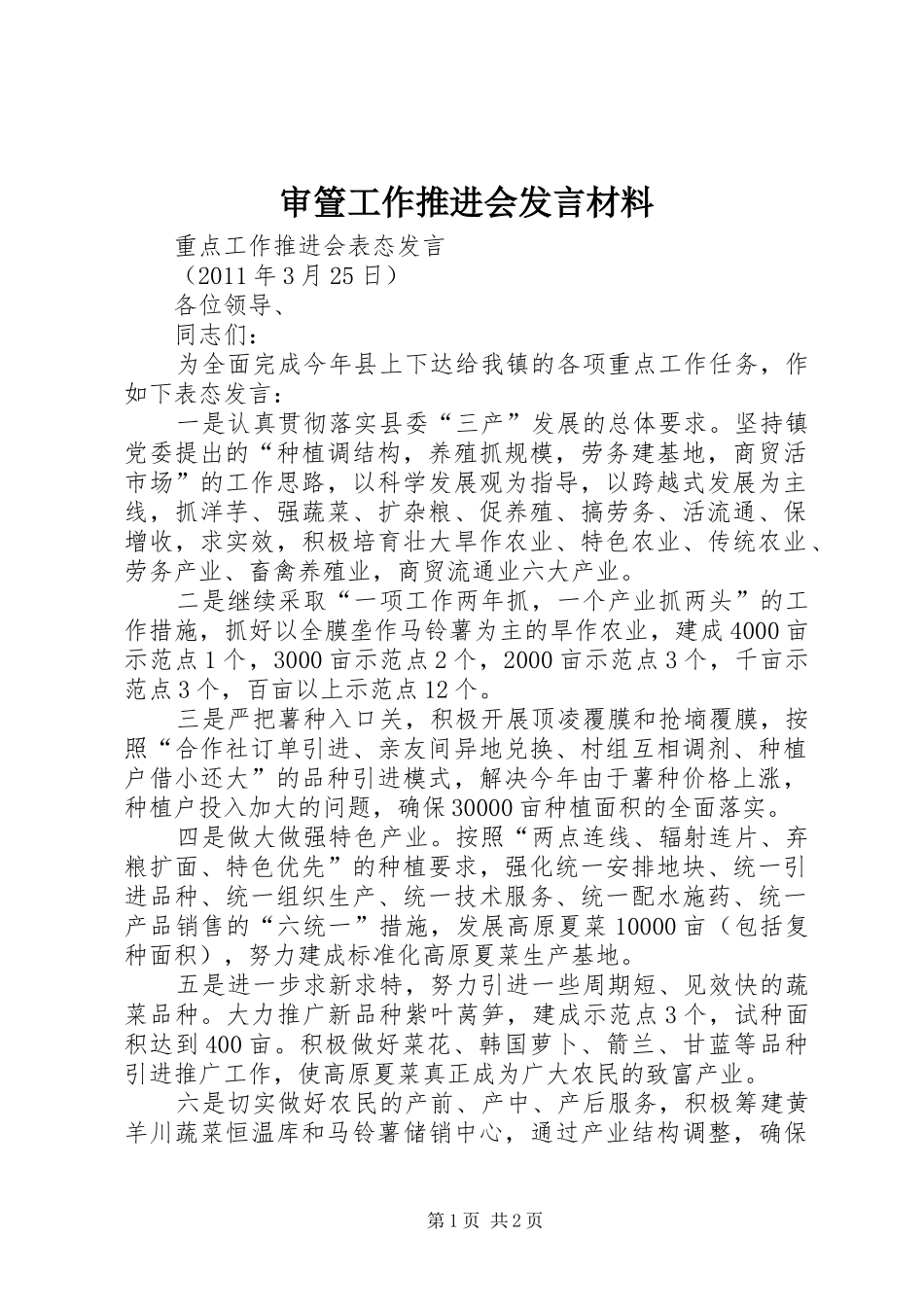 审箮工作推进会发言材料致辞_第1页