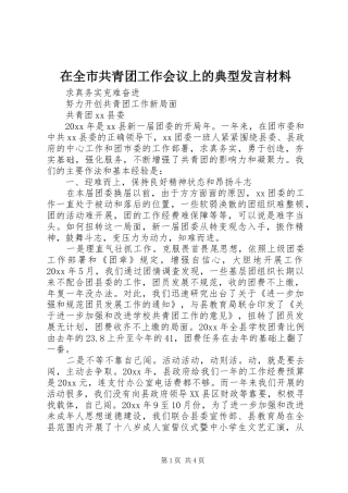 在全市共青团工作会议上的典型发言材料致辞