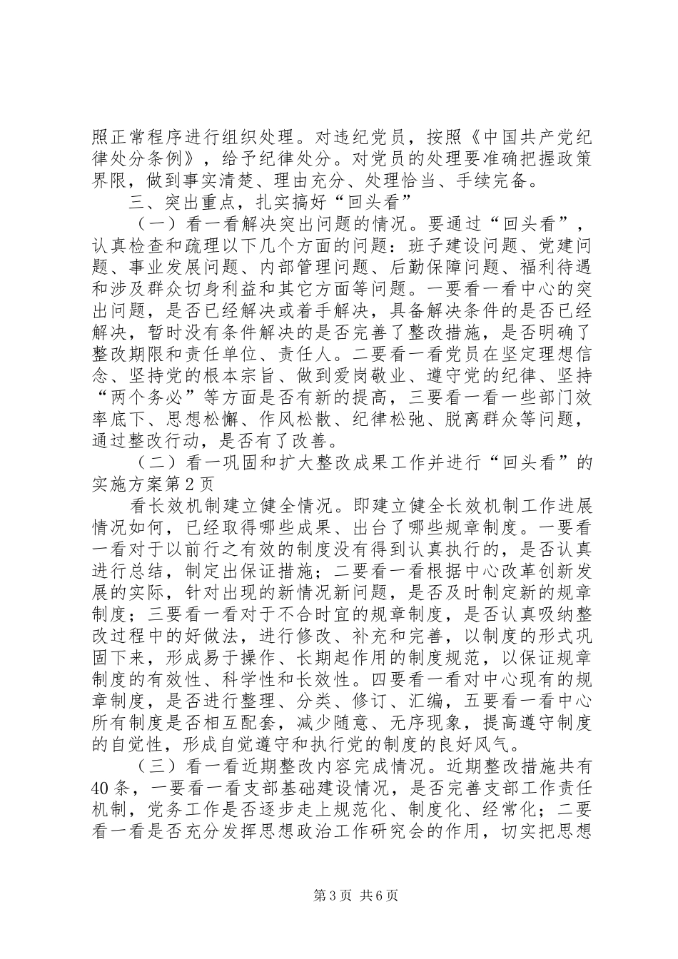 巩固和扩大整改成果工作并进行“回头看”的实施方案_第3页