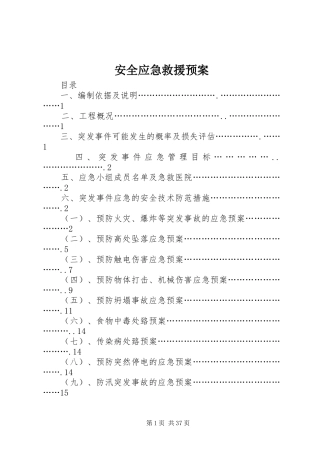 安全应急救援预案