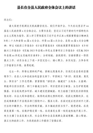 县长在全县人民政府全体会议上的讲话