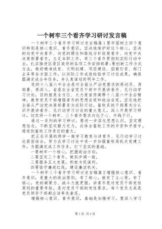 一个树牢三个看齐学习研讨发言