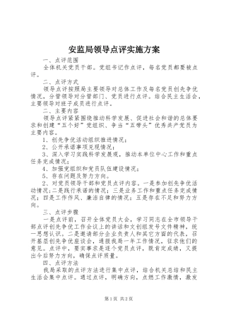 安监局领导点评实施方案