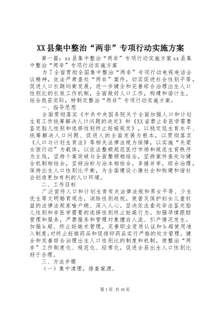 XX县集中整治“两非”专项行动实施方案