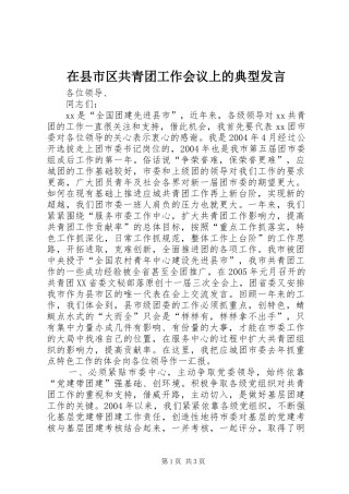在县市区共青团工作会议上的典型发言材料