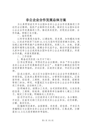 非公企业合作发展总体方案