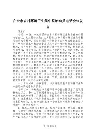 在全市农村环境卫生集中整治动员电话会议发言稿