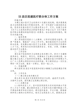 XX县区组建医疗联合体工作方案
