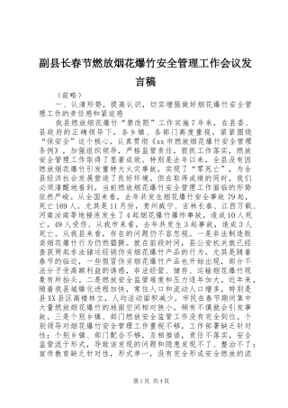 副县长春节燃放烟花爆竹安全管理工作会议发言