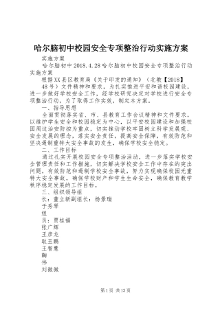 哈尔脑初中校园安全专项整治行动实施方案
