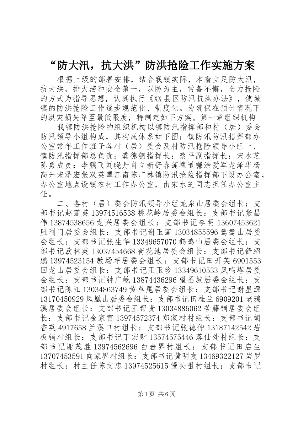 “防大汛，抗大洪”防洪抢险工作实施方案_第1页