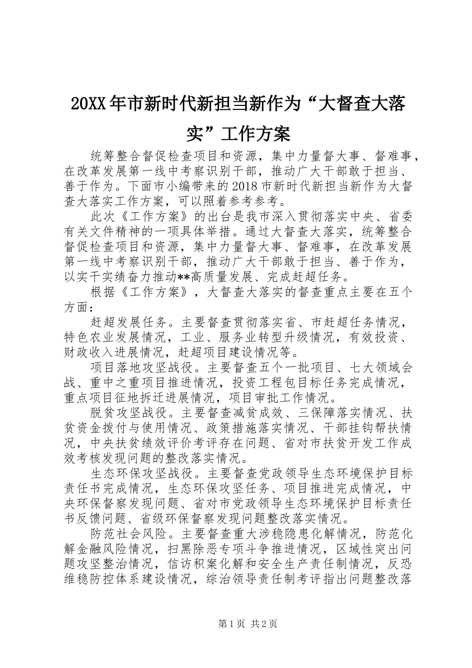 20XX年市新时代新担当新作为“大督查大落实”工作方案_第1页