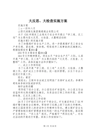大反思、大检查实施方案