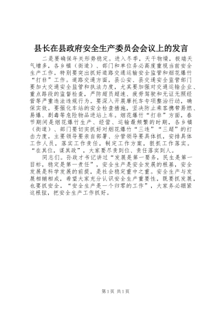 县长在县政府安全生产委员会会议上的发言稿