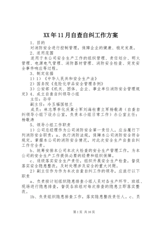 XX年11月自查自纠工作方案