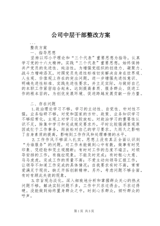 公司中层干部整改方案