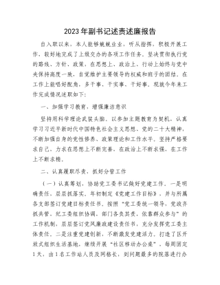 2023年副书记述责述廉报告