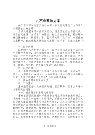 九不准整治方案