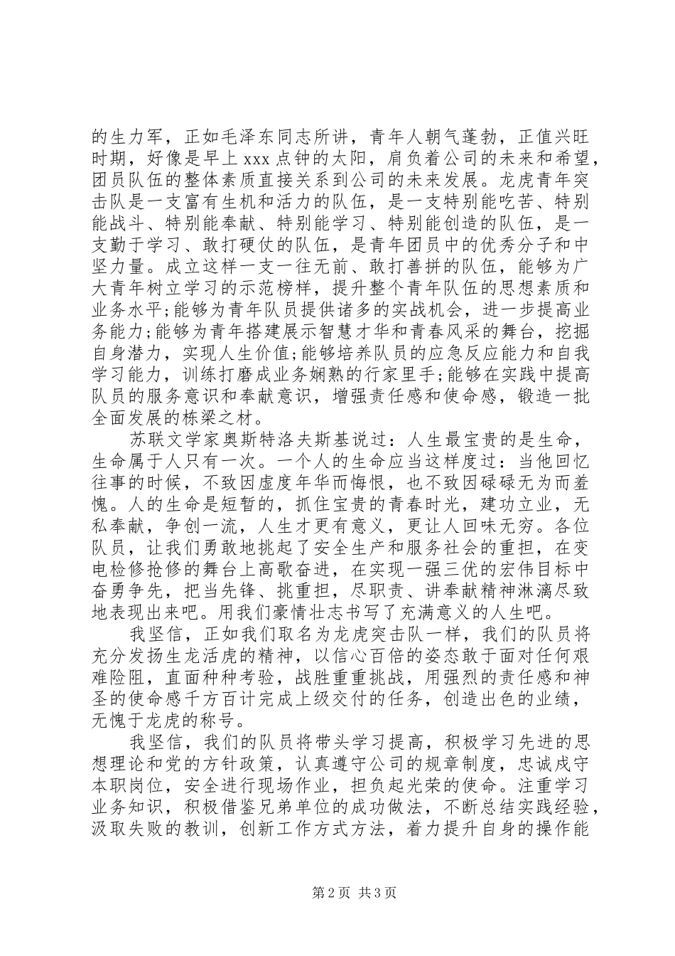 电网青年突击队启动仪式宣誓发言稿_第2页