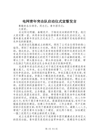 电网青年突击队启动仪式宣誓发言稿