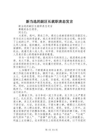 新当选的副区长就职表态发言稿
