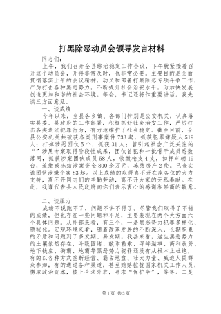 打黑除恶动员会领导发言材料提纲