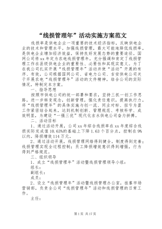 “线损管理年”活动实施方案范文