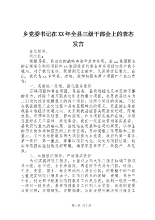 乡党委书记在XX年全县三级干部会上的表态发言稿