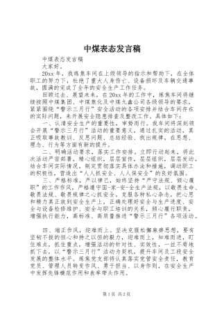 中煤表态发言