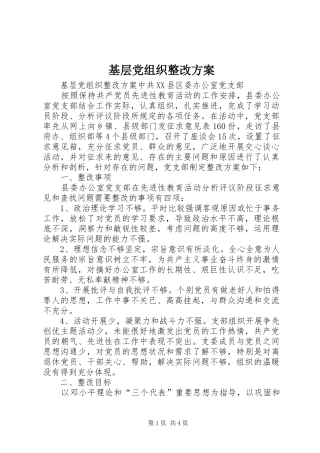基层党组织整改方案 (11)