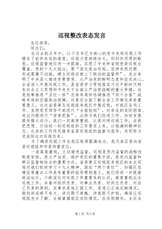 巡视整改表态发言稿