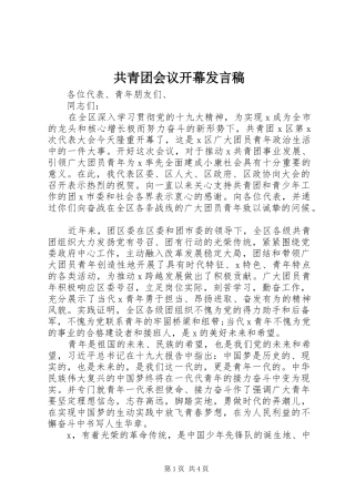 共青团会议开幕发言