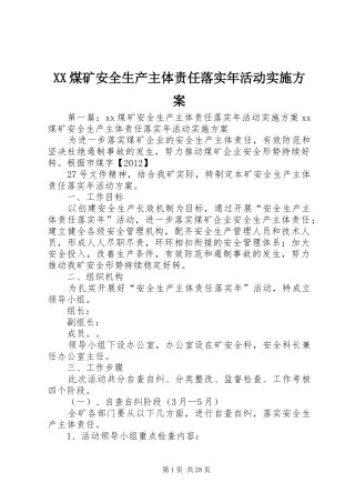 XX煤矿安全生产主体责任落实年活动实施方案