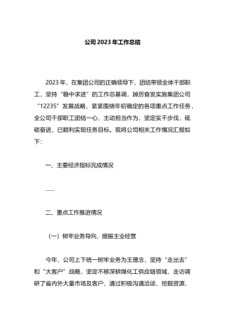 公司2023年工作总结