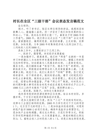 村长在全区“三级干部”会议表态发言范文