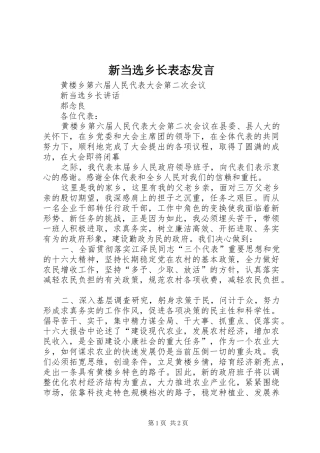 新当选乡长表态发言材料