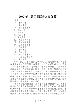 20XX年主题团日活动方案(4篇)