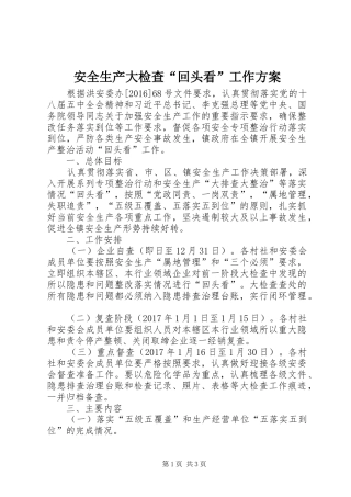 安全生产大检查“回头看”工作方案