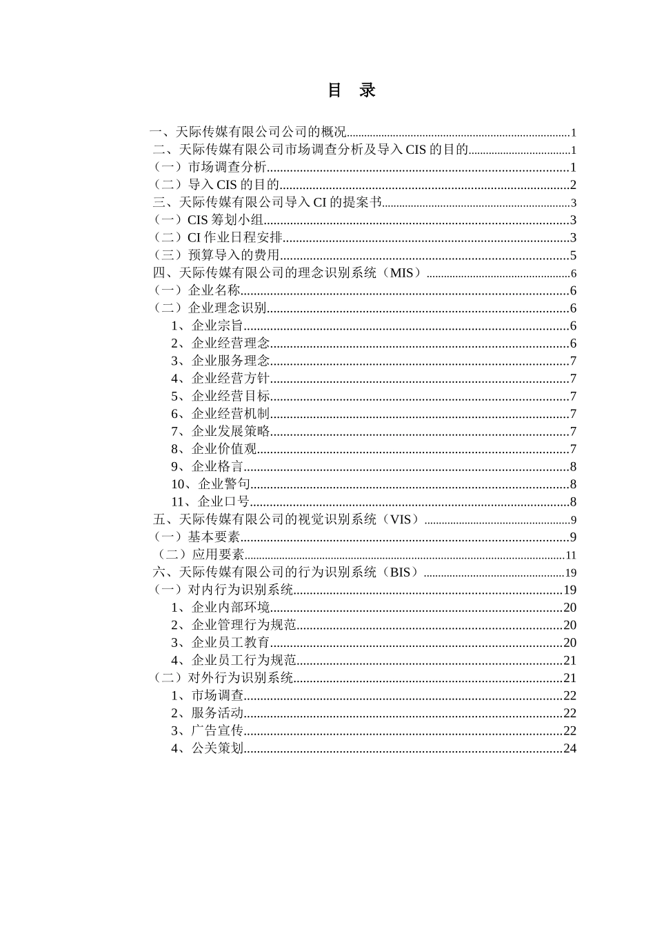 天际传媒公司市场调查分析报告_第1页