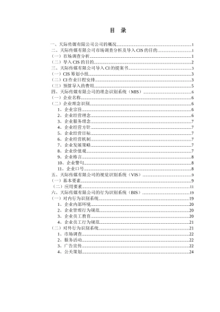天际传媒公司市场调查分析报告