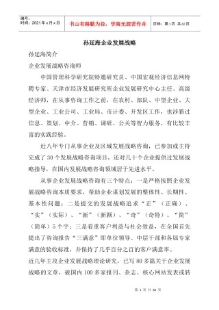 孙延海企业发展战略二