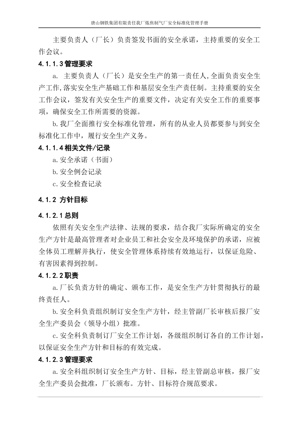 安全标准化管理手册(修订)_第3页