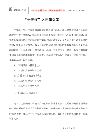 宁夏红入市策划案