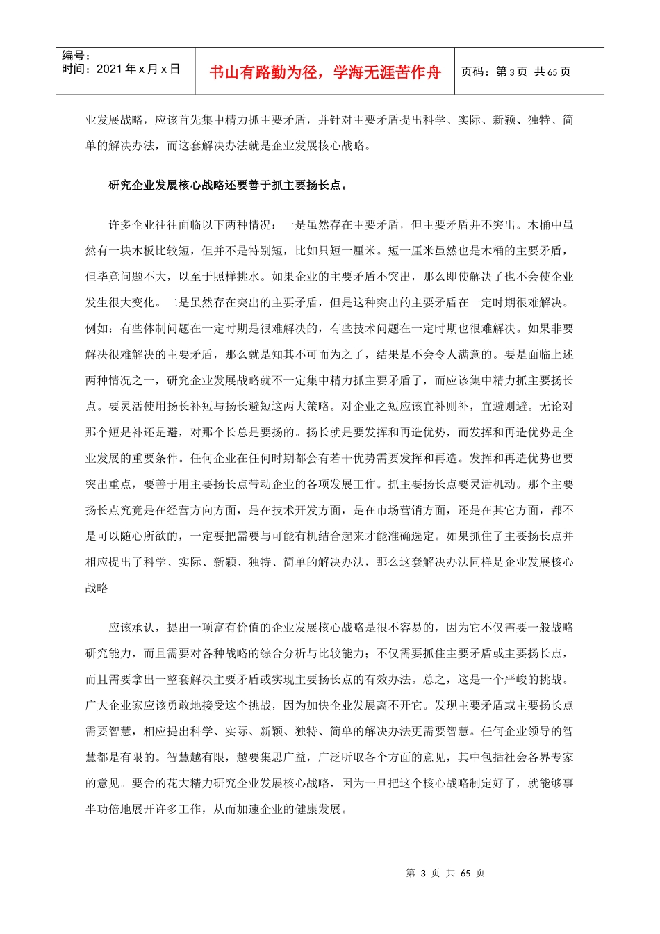 孙延海企业发展战略一_第3页