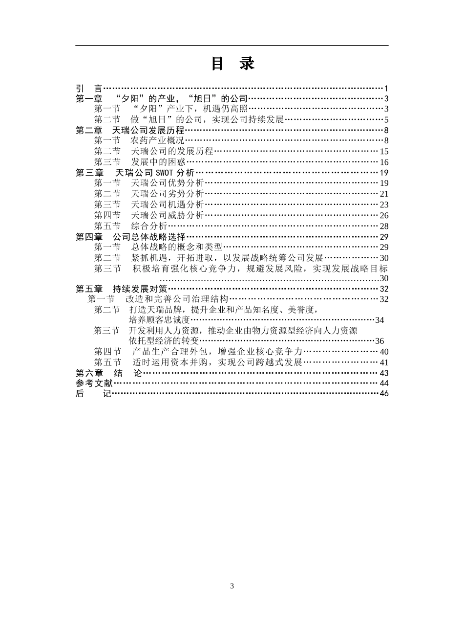 天瑞公司总体战略发展(1)_第3页