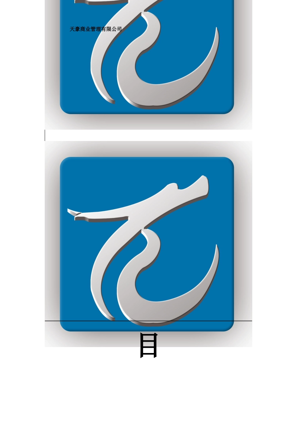 天豪广场项目可行性报告_第2页