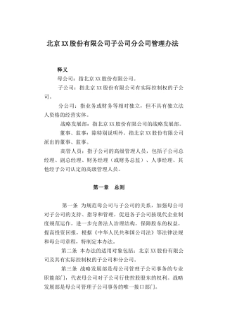 子公司分公司管理办法