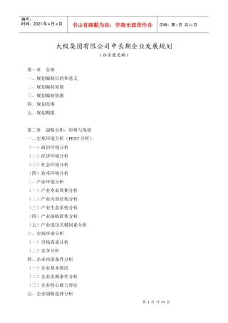 太极集团有限公司XXXX年-XX年企业发展5年规划(上)