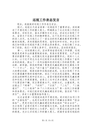 巡视工作表态发言稿