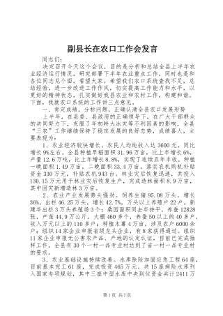 副县长在农口工作会发言稿